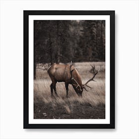 Arizona Elk Scenery Art Print