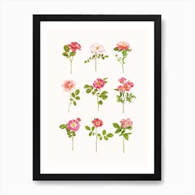 Rosen Kunstprint von Mariëlle Leenders für Wohnzimmer