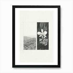 Orchid Flower Photo Collage 1 Art Print