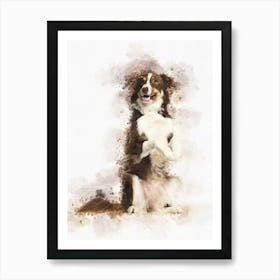 Border Collie Dog 2 Art Print