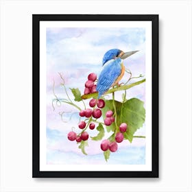 Blue Kingfisher Perched On Grapes Art Print