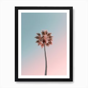 Simple Palm Tree Photography Art Print