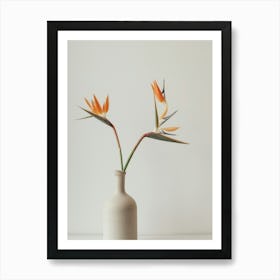 Bird Of Paradise In A Vase Art Print