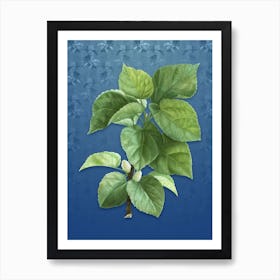 Vintage White Mulberry Plant Botanical on Bahama Blue Pattern n.2294 Art Print