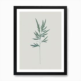 Mugwort Herb Simplicity Art Print