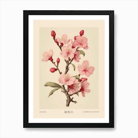 Sakura Cherry Blossom 1 Vintage Japanese Botanical Poster Art Print