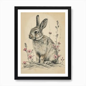 Mini Satin Rabbit Drawing 1 Art Print