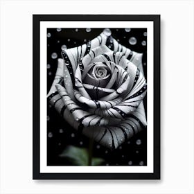 Black And White Rose 6 Art Print