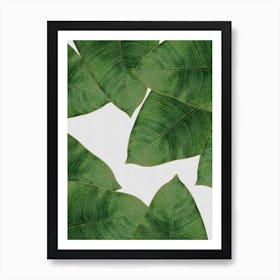 Banana Leaf II Art Print