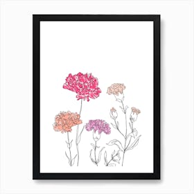 Carnations Art Print