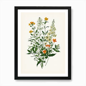 Vintage Botanical Galleria Style Wildflower Painting 39 Art Print