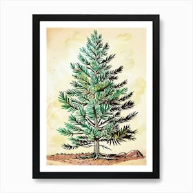 Douglas Fir Tree Storybook Illustration 3 Art Print