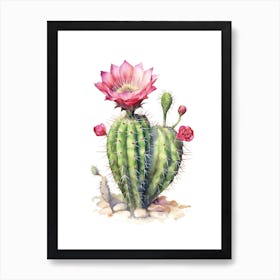 Ferocactus Cactus Watercolour Drawing 3 Art Print