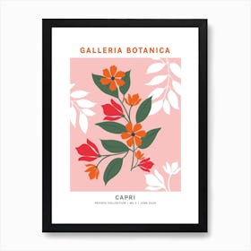 Galleria Botanica Capri Art Print