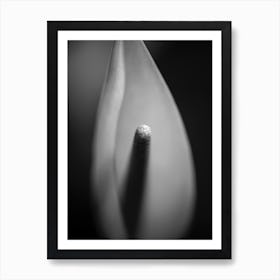 the impression bw Art Print