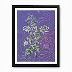 Vintage Hemlock Flowers Botanical Illustration on Veri Peri n.0076 Art Print