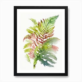 Painted Fern Wildflower Watercolour Art Print