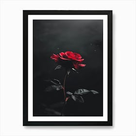 Dark Rose 92 Art Print