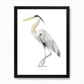 Heron Bird Art Print