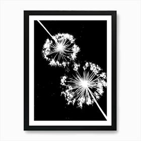 Black white alliums Art Print