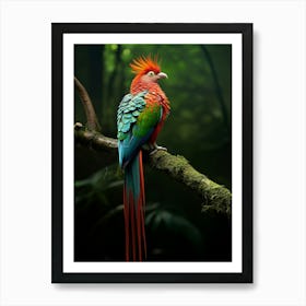 Perched Paradise: Quetzal Jungle Bird Art Art Print