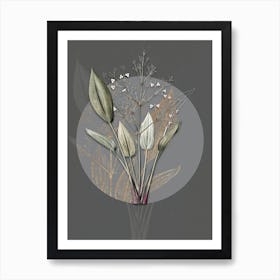 Vintage Botanical European Water Plantain on Circle Gray on Gray n.0222 Art Print