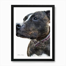 Staffy Portrait Art Print