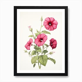 Petunias Flower Vintage Botanical 2 Art Print