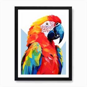 Colourful Geometric Bird Parrot 1 Art Print