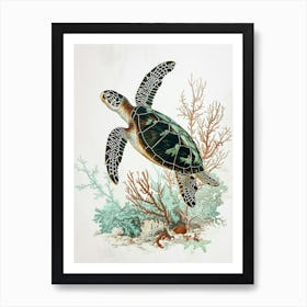 Sea Turtle & Marine Plants Minimalist Painting Art Print