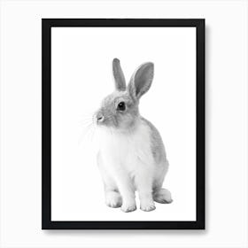 Monochrome Bunny Art Print