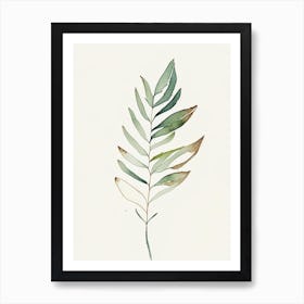 Valerian Leaf Minimalist Watercolour 1 Art Print