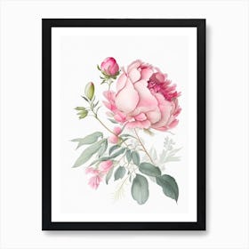 Peony Floral Quentin Blake Inspired Illustration 3 Flower Art Print