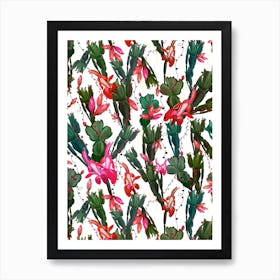 Schlumbergera Christmas Cactus Art Print