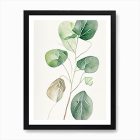 Wild Yam Herb Minimalist Watercolour Art Print