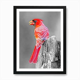 Cardinal on a dry tree stump Art Print