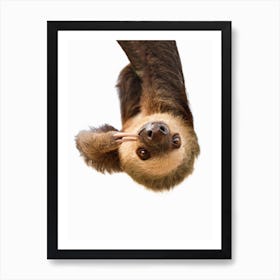 Sloth X Art Print