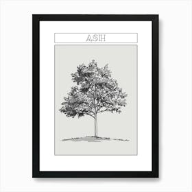 Ash Tree Minimalistic Drawing 1 Poster Art Print