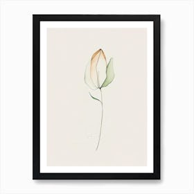 Tulip Leaf Minimalist Watercolour 1 Art Print