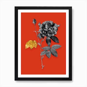 Vintage French Rose Black and White Gold Leaf Floral Art on Tomato Red n.1090 Art Print