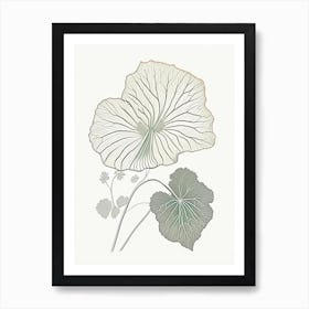 Nasturtium Herb William Morris Inspired Line Drawing 2 Art Print