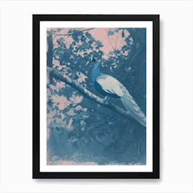 Peacock In The Tree Cyanotype Inspired 1 Art Print