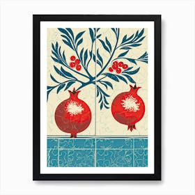 Pomegranate Illustration 3 Art Print