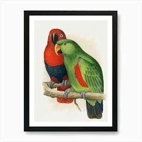 Parrots 2 Art Print