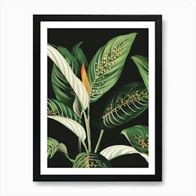 Tropical Leaves Canvas Print Art Print