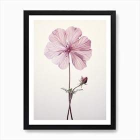 Pressed Flower Botanical Art Geranium 1 Art Print