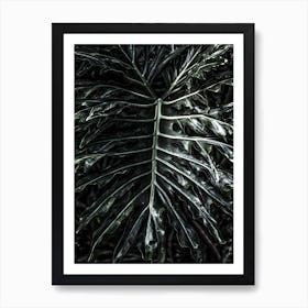 Jungle Art Print