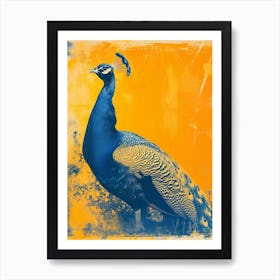 Orange & Blue Peacock Portrait 2 Art Print