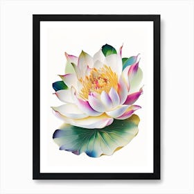 Lotus Flower Petals Decoupage 5 Art Print