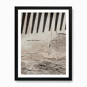 Shadows On A Wall Art Print